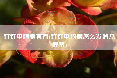 钉钉电脑版官方(钉钉电脑版怎么发消息提醒)
