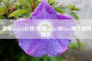 荣耀magic3价格(荣耀magic3和7pro哪个值得购买)