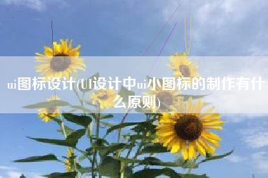 ui图标设计(UI设计中ui小图标的制作有什么原则)