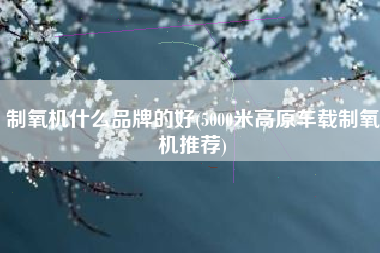 制氧机什么品牌的好(5000米高原车载制氧机推荐)