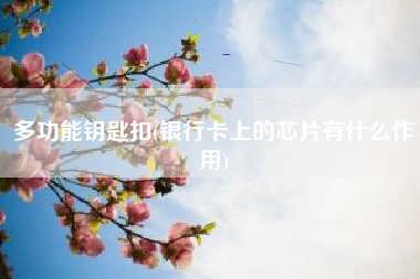 多功能钥匙扣(银行卡上的芯片有什么作用)