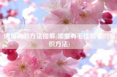 绑鱼钩的方法图解(哪里有毛线帽子的编织方法)