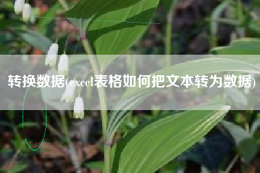 转换数据(excel表格如何把文本转为数据)