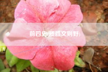 前四史(质胜文则野)
