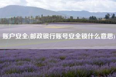 账户安全(邮政银行账号安全锁什么意思)