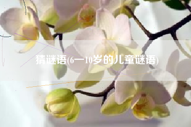 猜谜语(6一10岁的儿童谜语)