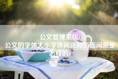 公文管理系统(
公文的字体大小字体间距和页面间距是怎样的) 公文管理系统(
公文的字体大小字体间距和页面间距是怎样的)