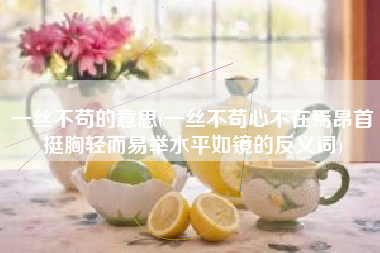 一丝不苟的意思(一丝不苟心不在焉昂首挺胸轻而易举水平如镜的反义词)
