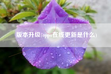 版本升级(oppo在线更新是什么)