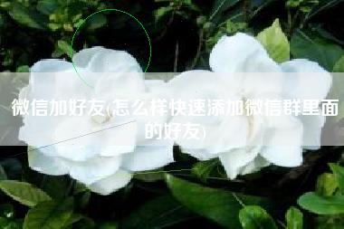 微信加好友(怎么样快速添加微信群里面的好友)