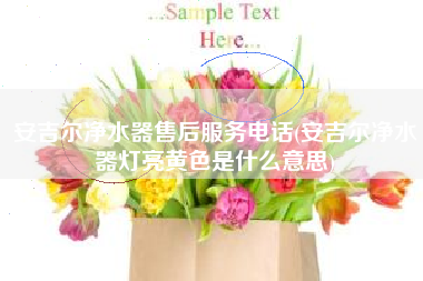 安吉尔净水器售后服务电话(安吉尔净水器灯亮黄色是什么意思)