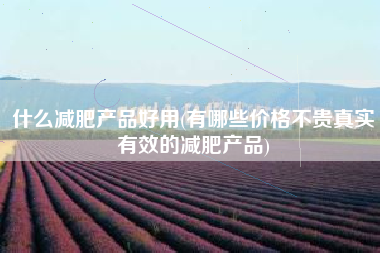 什么减肥产品好用(有哪些价格不贵真实有效的减肥产品)