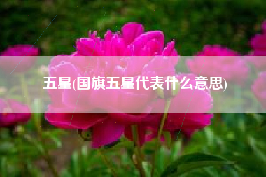 五星(国旗五星代表什么意思)