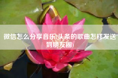 微信怎么分享音乐(头条的歌曲怎样发送到朋友圈)