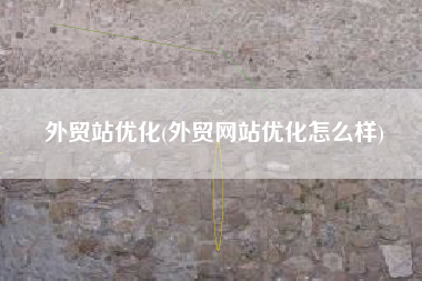 外贸站优化(外贸网站优化怎么样)