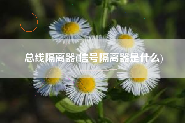 总线隔离器(信号隔离器是什么)