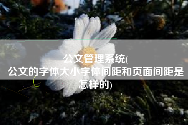 公文管理系统(
公文的字体大小字体间距和页面间距是怎样的) 公文管理系统(
公文的字体大小字体间距和页面间距是怎样的)