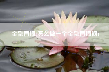 金融直播(怎么做一个金融直播间)