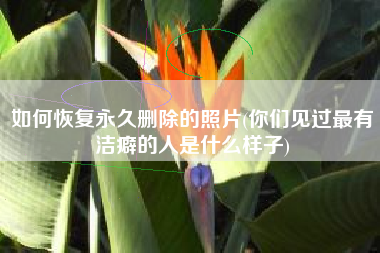 如何恢复永久删除的照片(你们见过最有洁癖的人是什么样子)