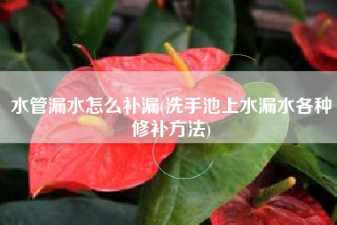 水管漏水怎么补漏(洗手池上水漏水各种修补方法)