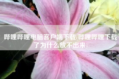 哔哩哔哩电脑客户端下载(哔哩哔哩下载了为什么放不出来)