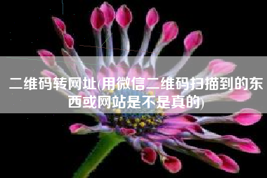 二维码转网址(用微信二维码扫描到的东西或网站是不是真的)