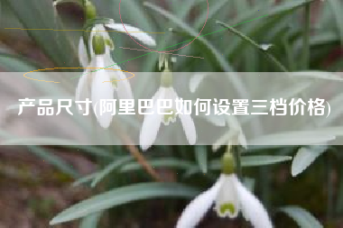 产品尺寸(阿里巴巴如何设置三档价格)