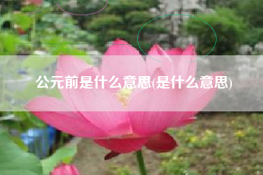 公元前是什么意思(是什么意思)