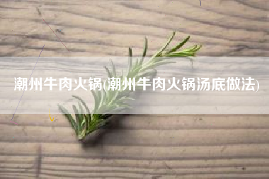 潮州牛肉火锅(潮州牛肉火锅汤底做法)