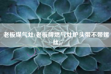 老板煤气灶(老板牌燃气灶炉头带不带螺丝)