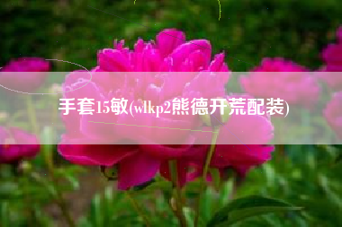 手套15敏(wlkp2熊德开荒配装)