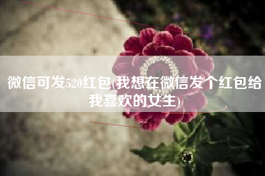 微信可发520红包(我想在微信发个红包给我喜欢的女生)
