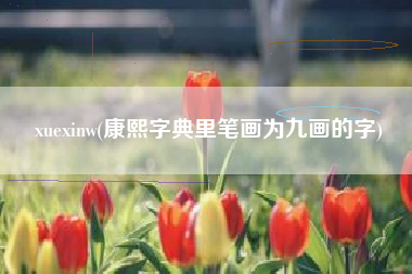xuexinw(康熙字典里笔画为九画的字)