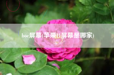 boe屏幕(苹果11屏幕是哪家)