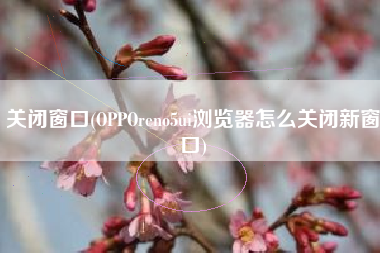 关闭窗口(OPPOreno5ui浏览器怎么关闭新窗口)