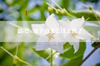 叠t恤(t恤下边怎么往上折了)