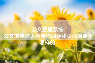 公文管理系统(
公文的字体大小字体间距和页面间距是怎样的) 公文管理系统(
公文的字体大小字体间距和页面间距是怎样的)