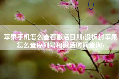 苹果手机怎么查看激活日期(没拆封苹果怎么查序列号和激活时间查询)