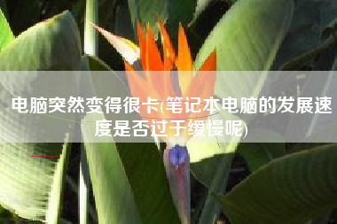 电脑突然变得很卡(笔记本电脑的发展速度是否过于缓慢呢)