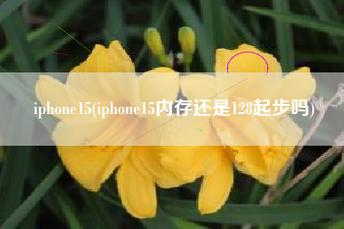 iphone15(iphone15内存还是128起步吗)