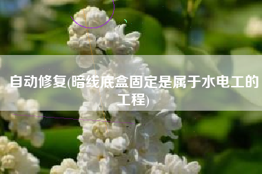 自动修复(暗线底盒固定是属于水电工的工程)