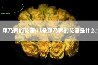 康乃馨的花语(八朵康乃馨的花语是什么)