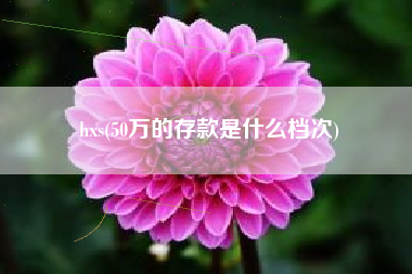 hxs(50万的存款是什么档次)