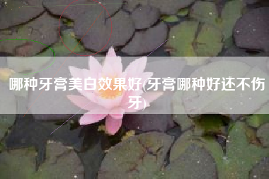 哪种牙膏美白效果好(牙膏哪种好还不伤牙)
