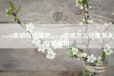 excel表格在线编辑(excel表格怎么转成多人在线编辑)