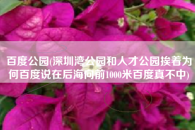 百度公园(深圳湾公园和人才公园挨着为何百度说在后海向前1000米百度真不中)