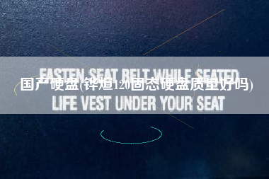 国产硬盘(铧煊120固态硬盘质量好吗)