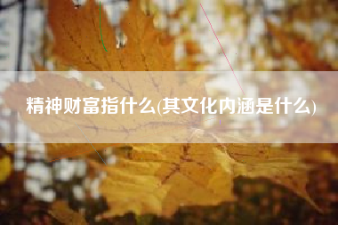精神财富指什么(其文化内涵是什么)