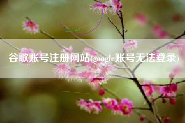 谷歌账号注册网站(google账号无法登录)