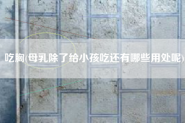 吃胸(母乳除了给小孩吃还有哪些用处呢)